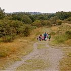 les landes de cojoux