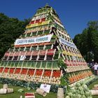 Les Légumes de France