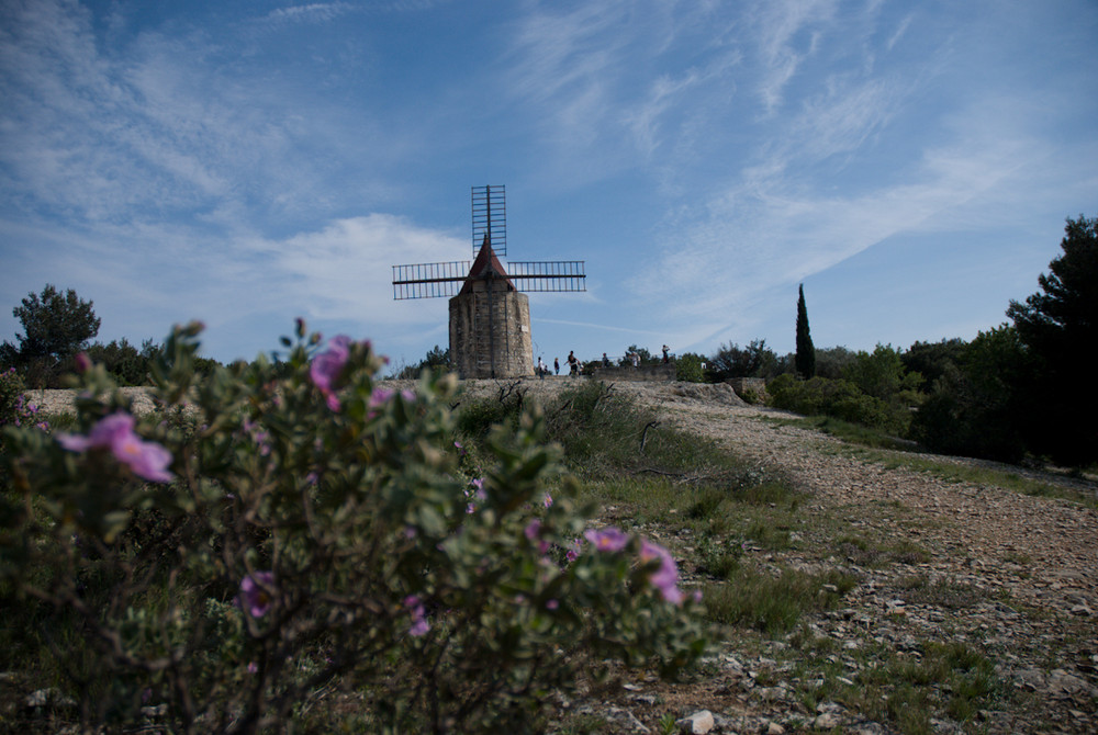 Les Lettres de mon Moulin ... d'Alphonse DAUDET