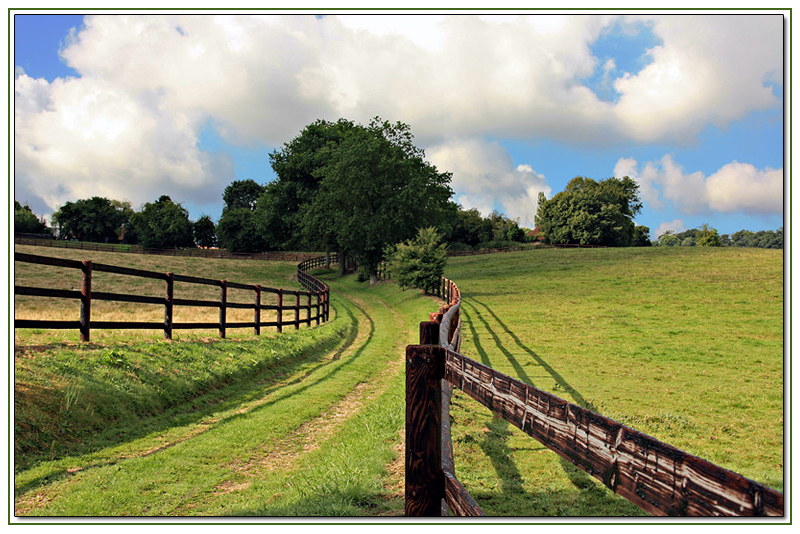 Les lignes vertes