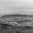 Les Ligneurs du Raz de Sein | Pêche aux Bars | Pointe du Raz | ARMEN | Phare de la Vieille