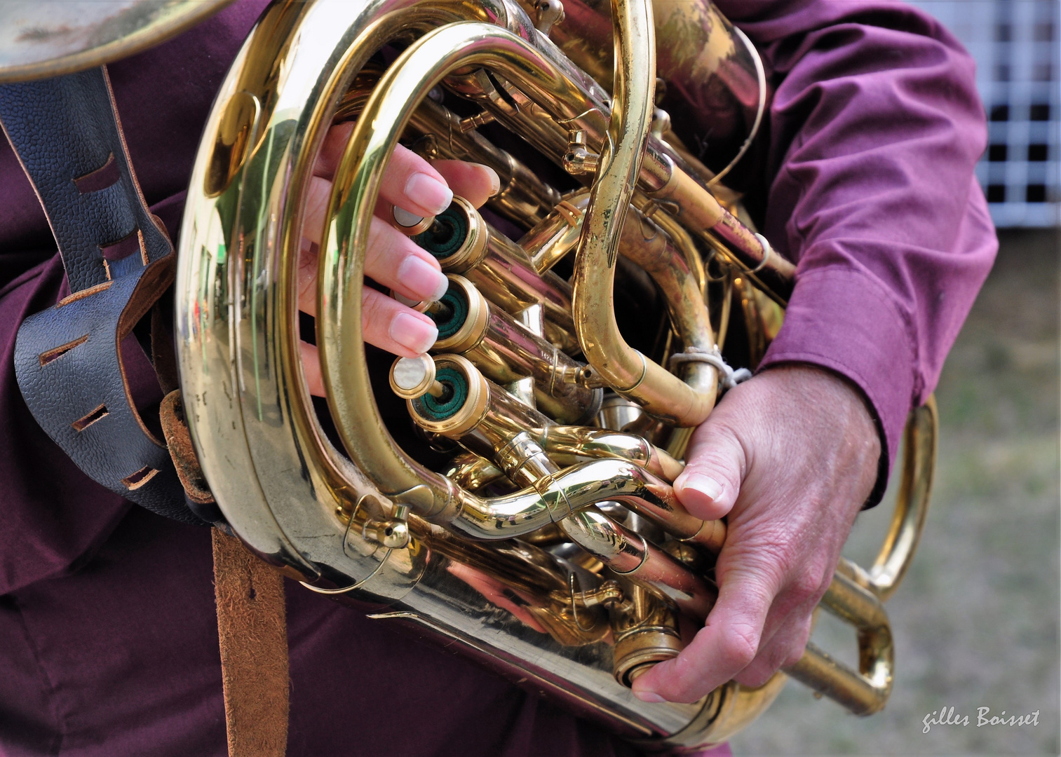 Les mains musiciennes