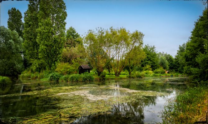 Les marais de Bourges 