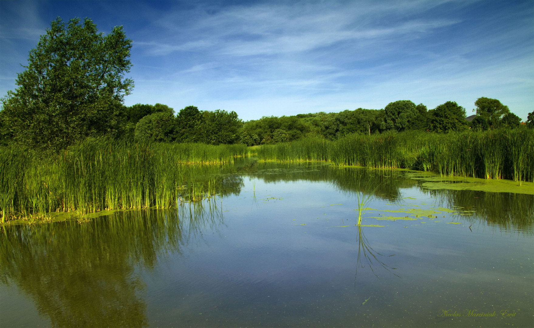 Les Marais Du Bois De Florimont (Pas-De-Calais)