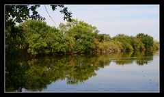 " Les marais du Teich "