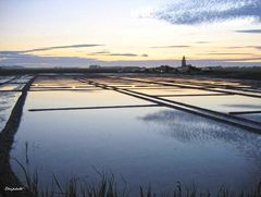 Les marais salants