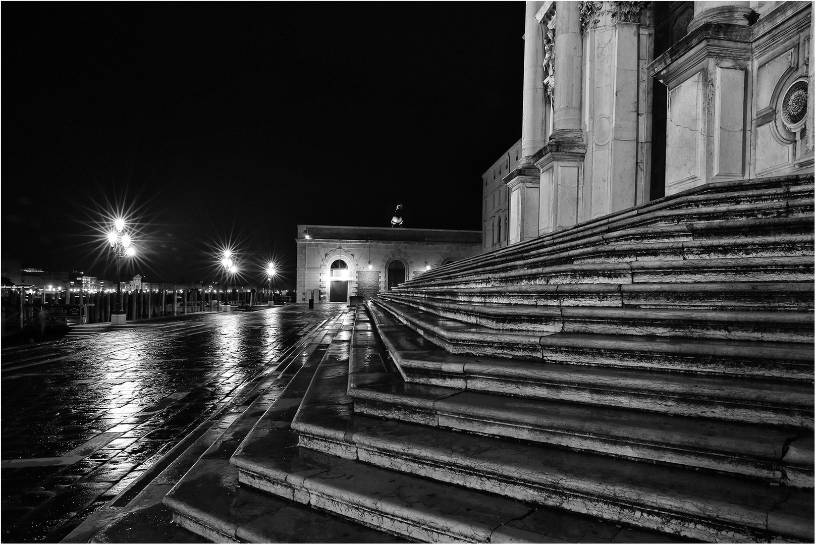 Les marches de la Salute