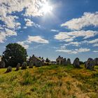 Les mégalithes de Carnac . 