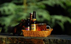 Les meilleures bières 