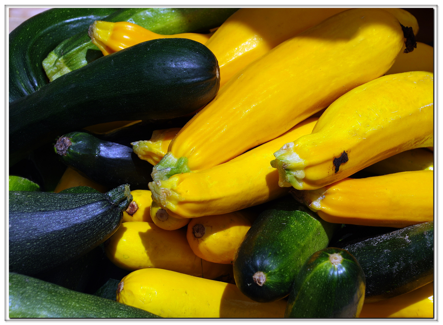 les meilleures courgettes sont petites et jaunes....