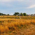 Les menhirs 