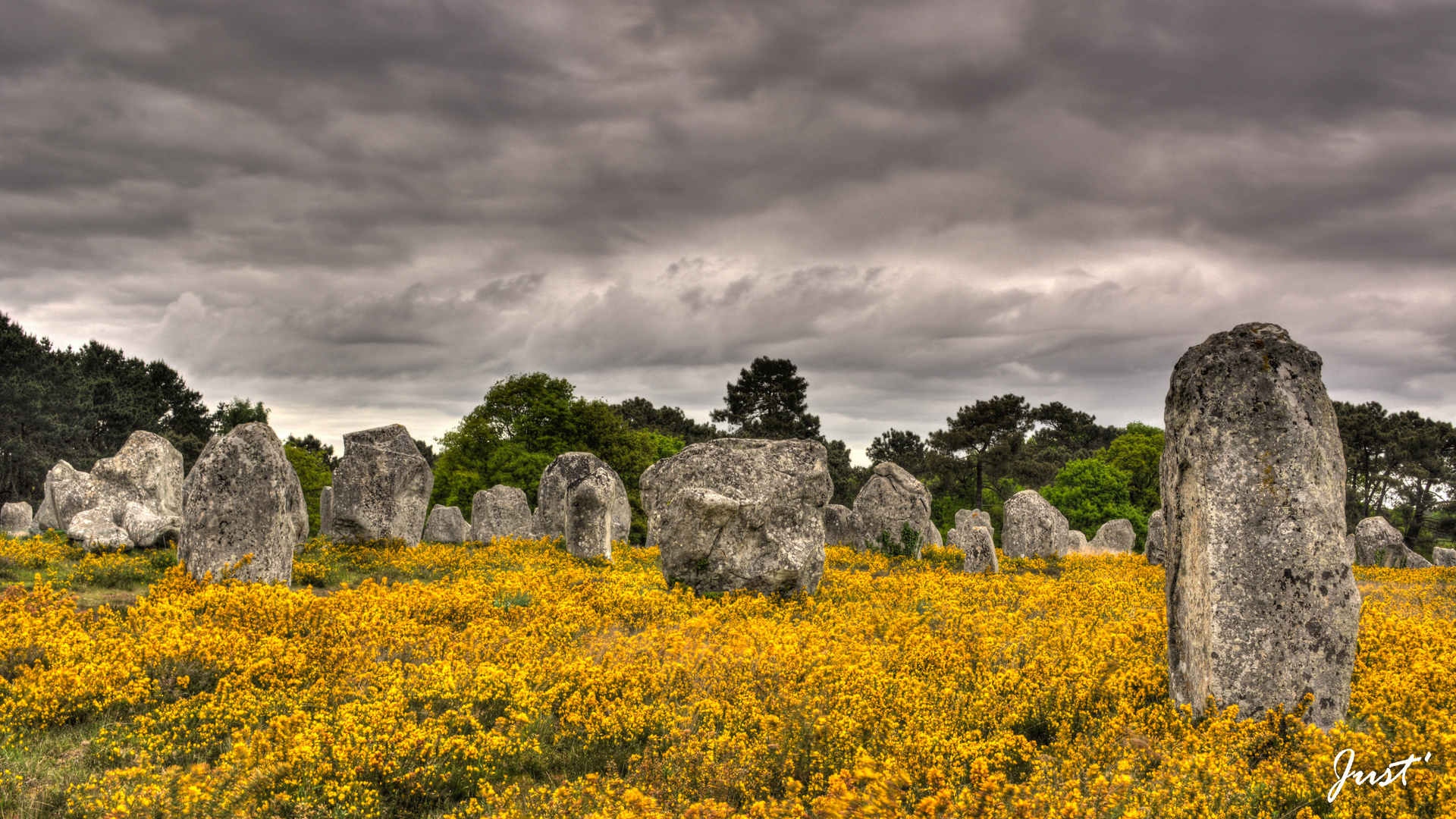 Les menhirs