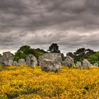 Les menhirs