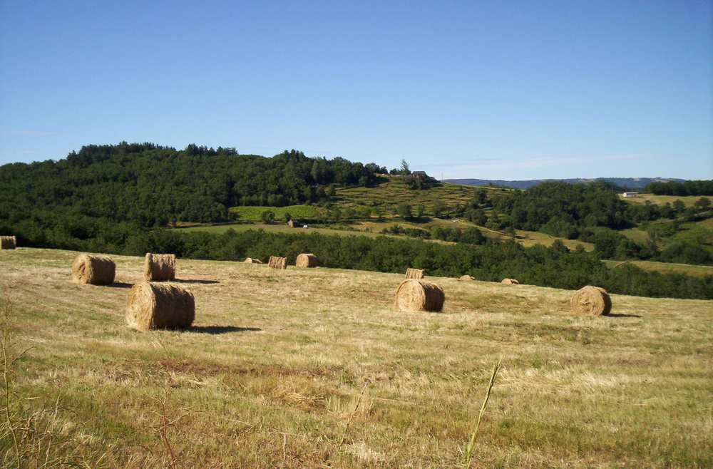 les meules von helene a 