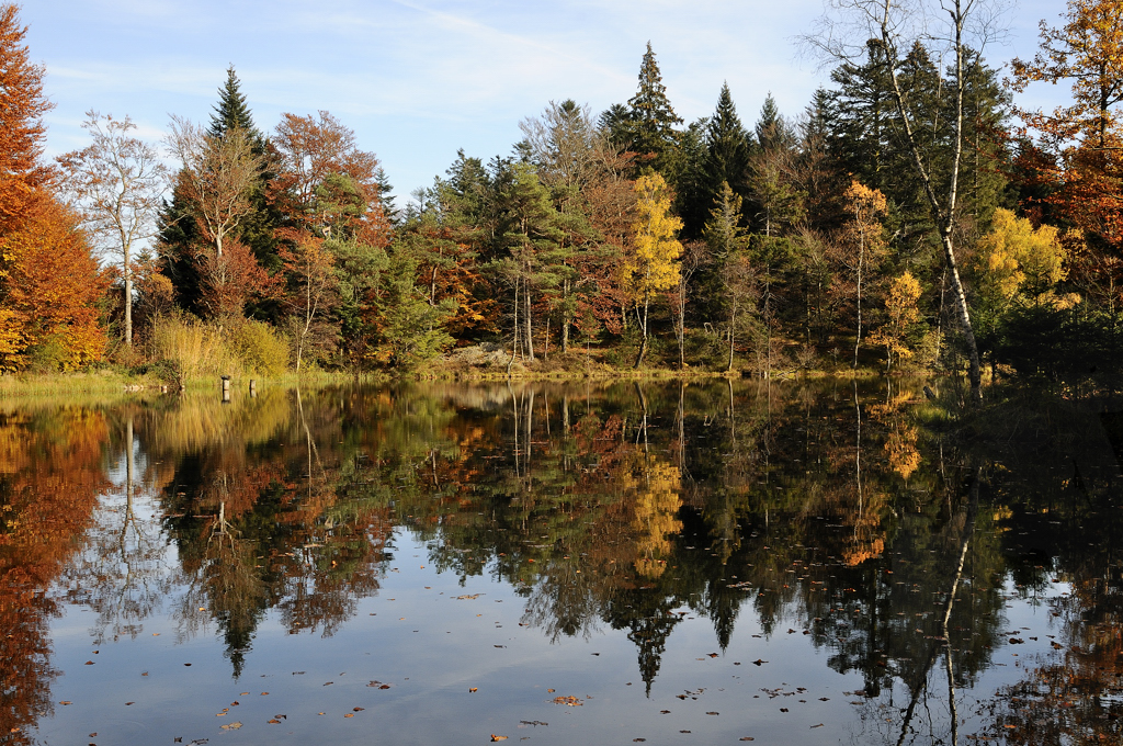 Les Mille Etangs en automne