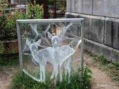 Les Miroirs des temps - la biche et son faon 