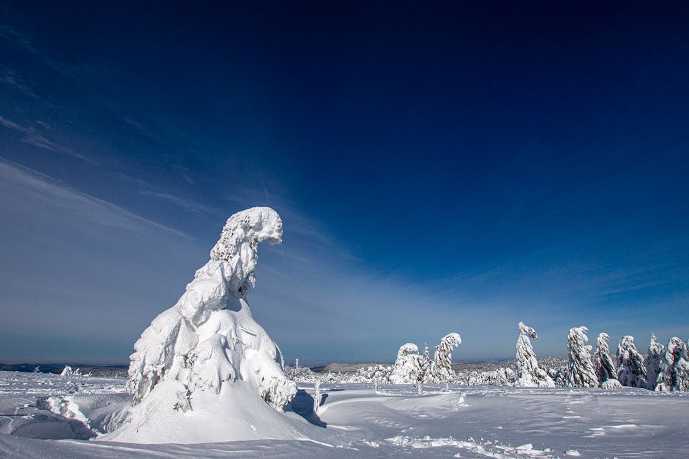 Les monstres blancs