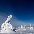 Les monstres blancs