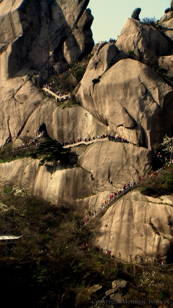 les montagnes jaunes