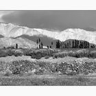 Les montagnes pâles du LADAKH