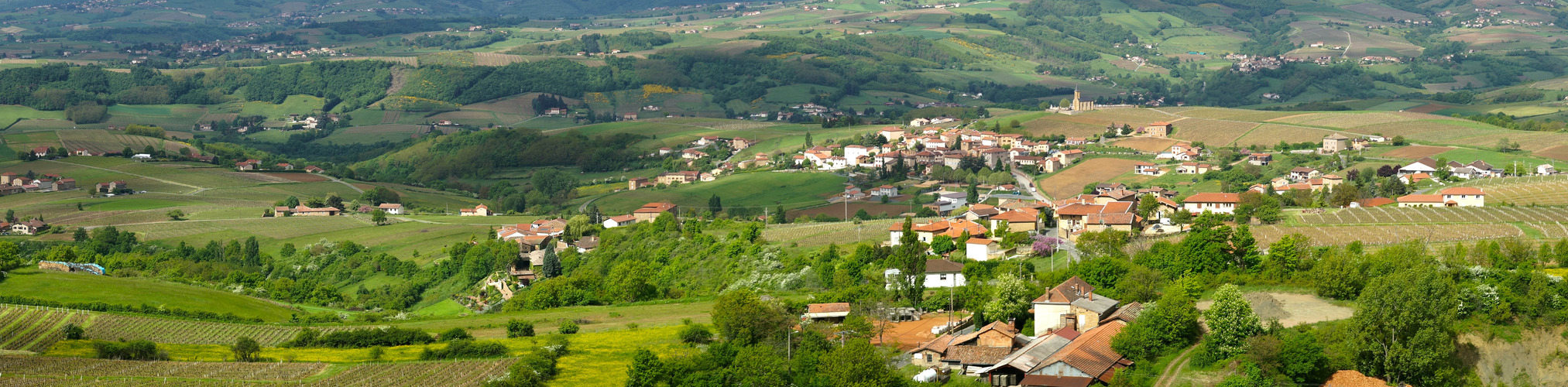 Les Monts du Lyonnais