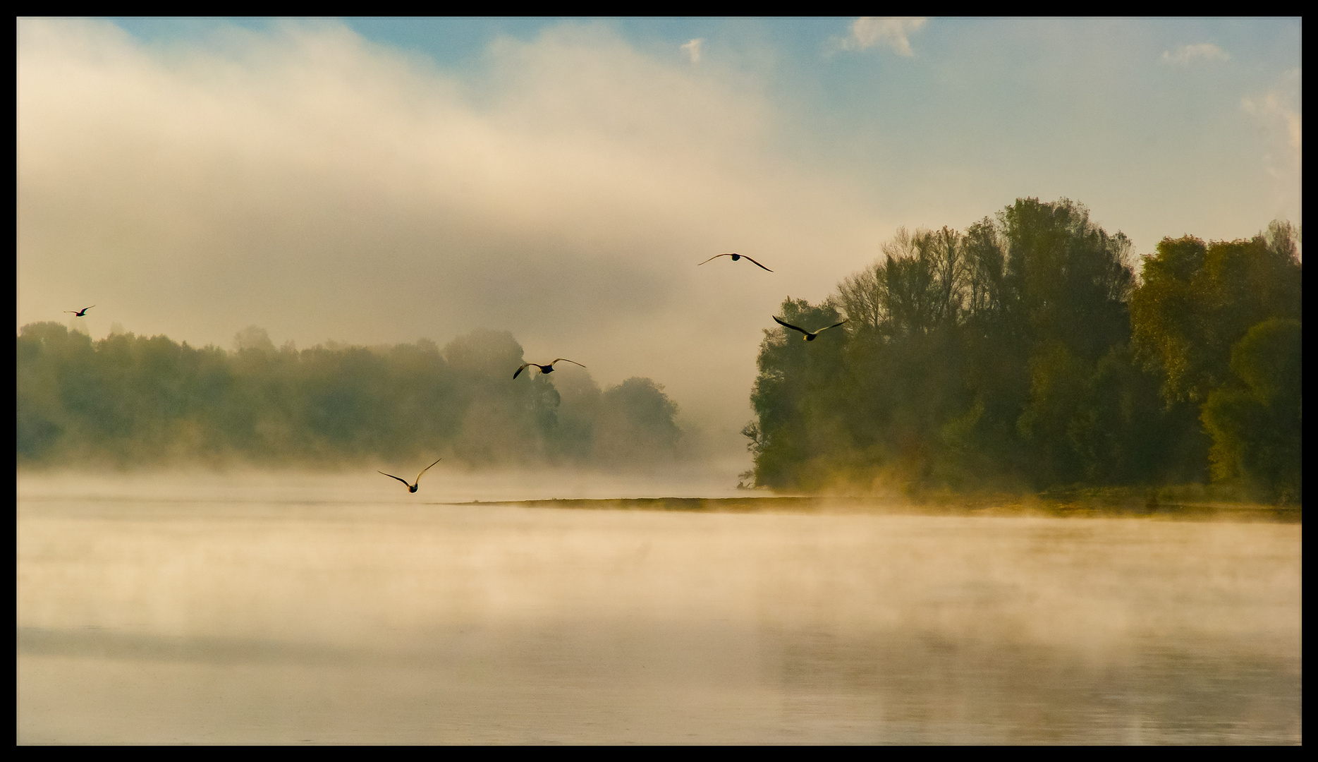 Les mouettes