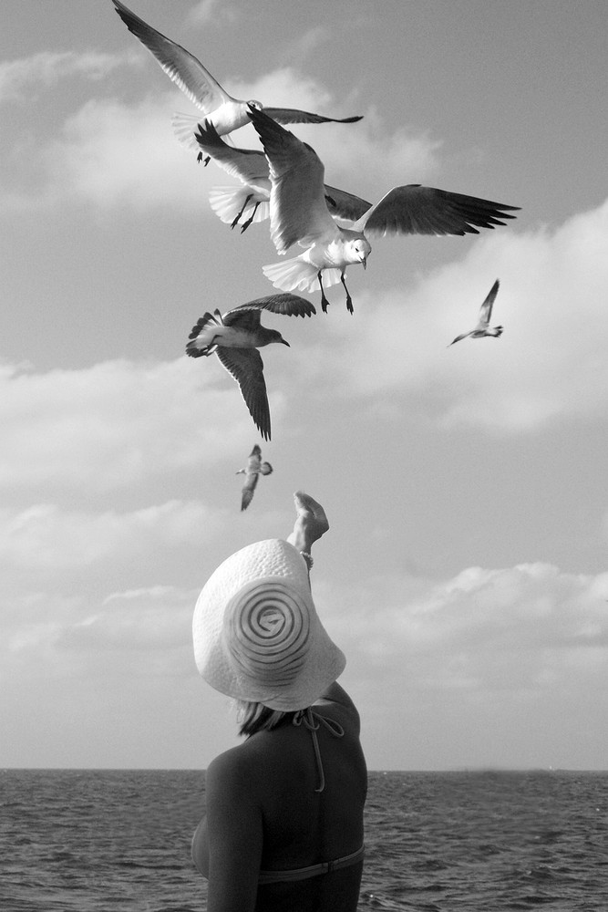 Les mouettes et la jeune fille