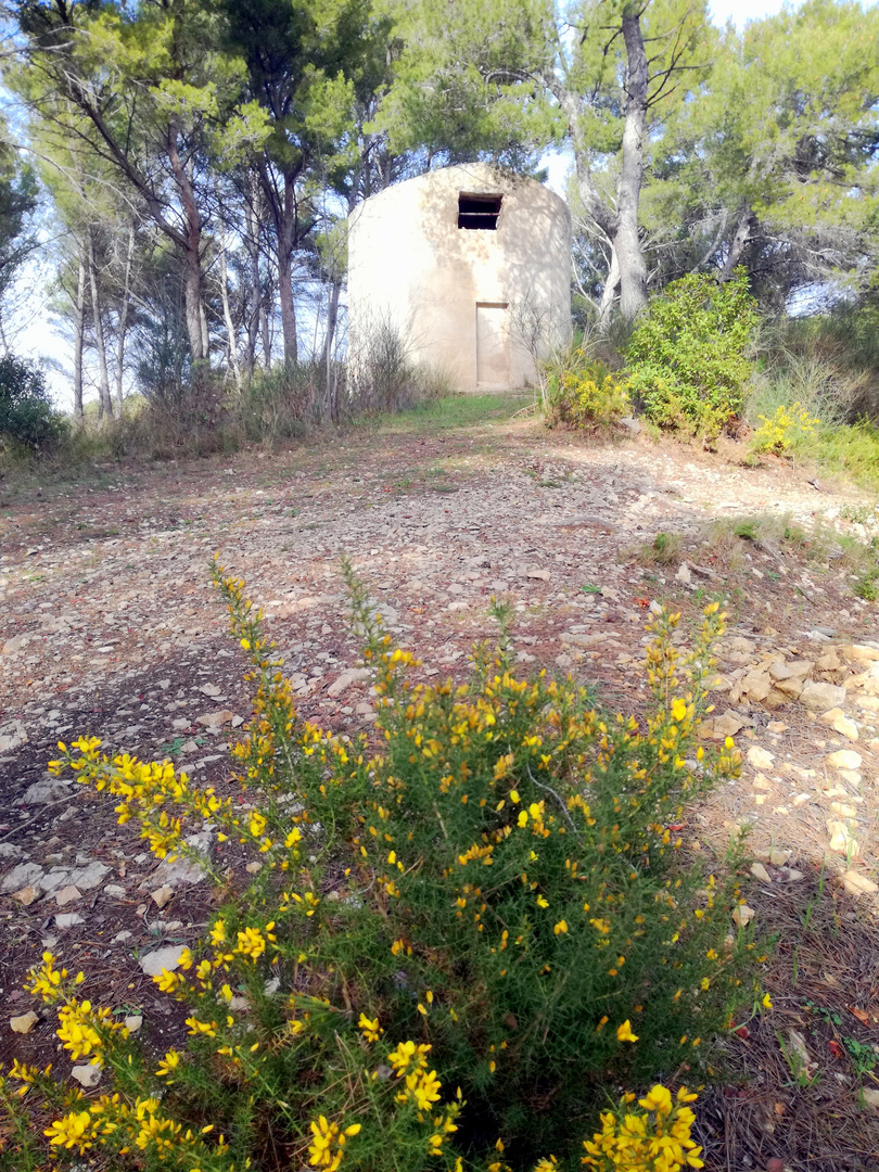 Les moulins de Gardanne,Bouches du Rhône