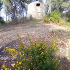 Les moulins de Gardanne,Bouches du Rhône