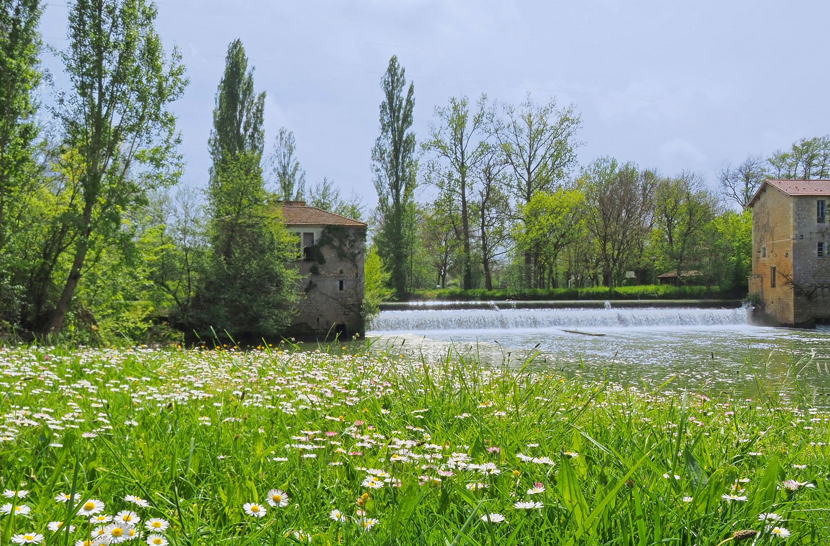 Les moulins de Gauge au printemps