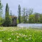 Les moulins de Gauge au printemps