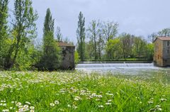 Les moulins de Gauge au printemps