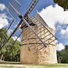 Les Moulins de Paillas Fotowettbewerb: Mai 2023 Windmühlen
