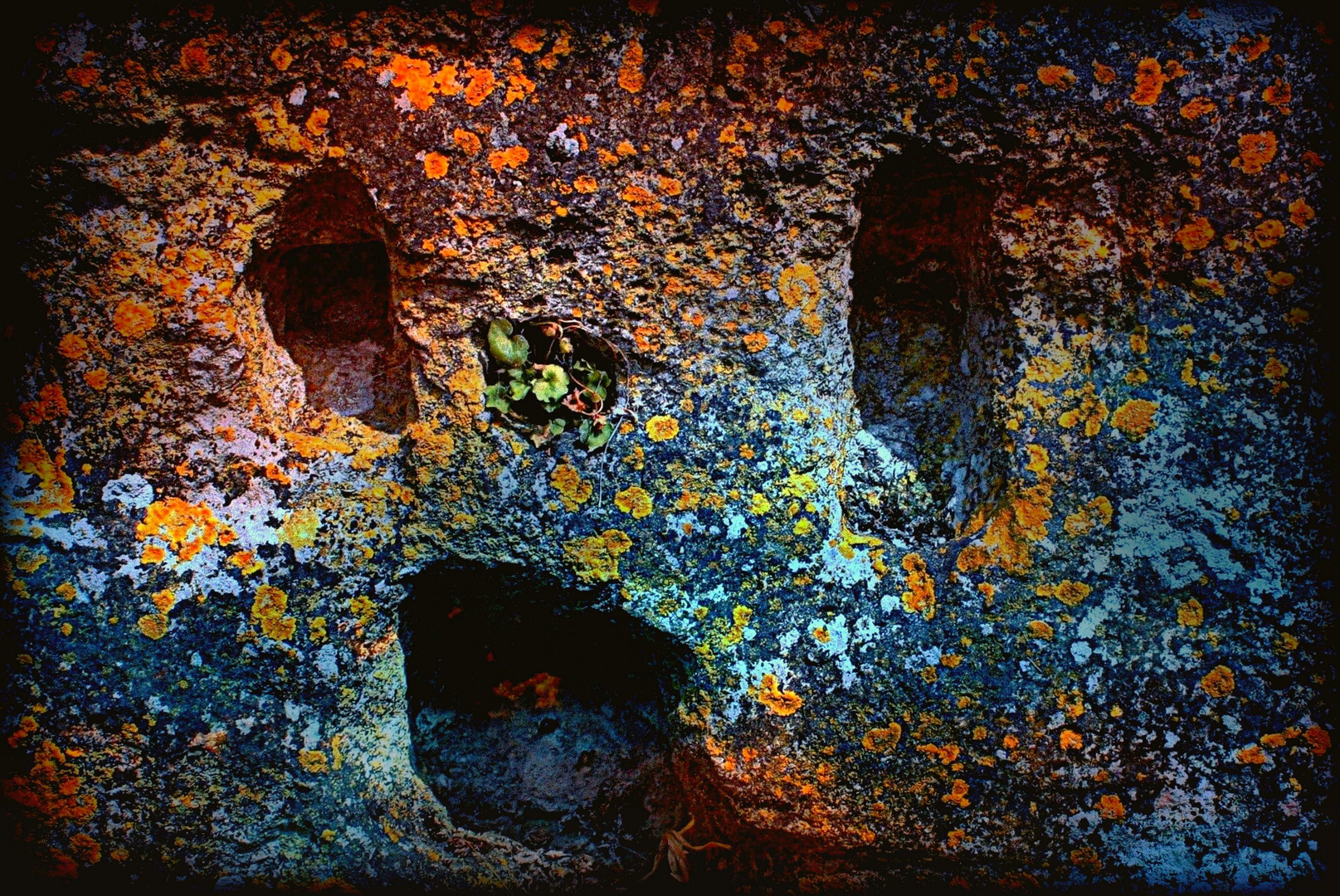  Les murs ont parfois des visages