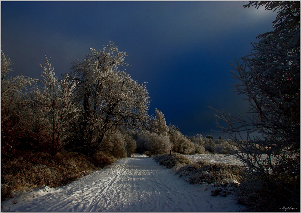 Les mystères de l'hiver