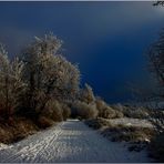 Les mystères de l'hiver