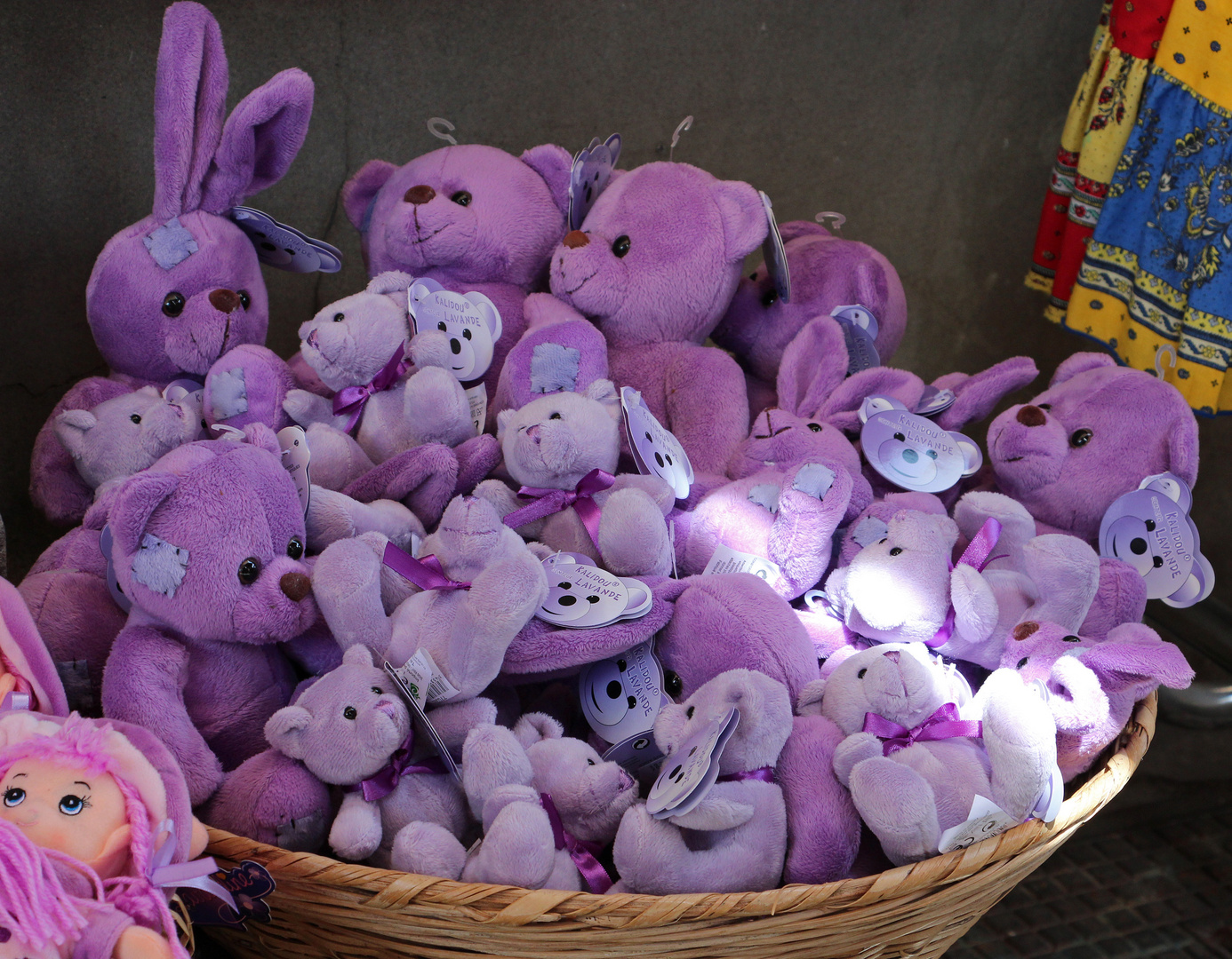 Les nounours mauve