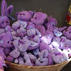 Les nounours mauve