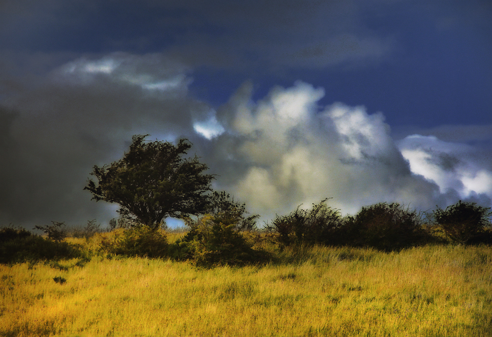 les nuages