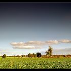 ° les nuages °