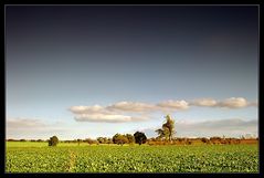 ° les nuages °