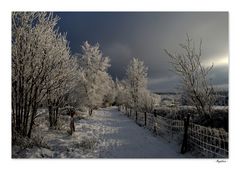 Les nuages de la Vie