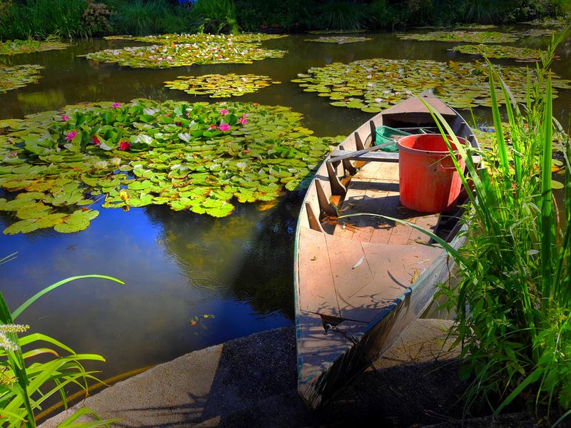  Les nymphéas d'aujourd'hui chez Claude MONET