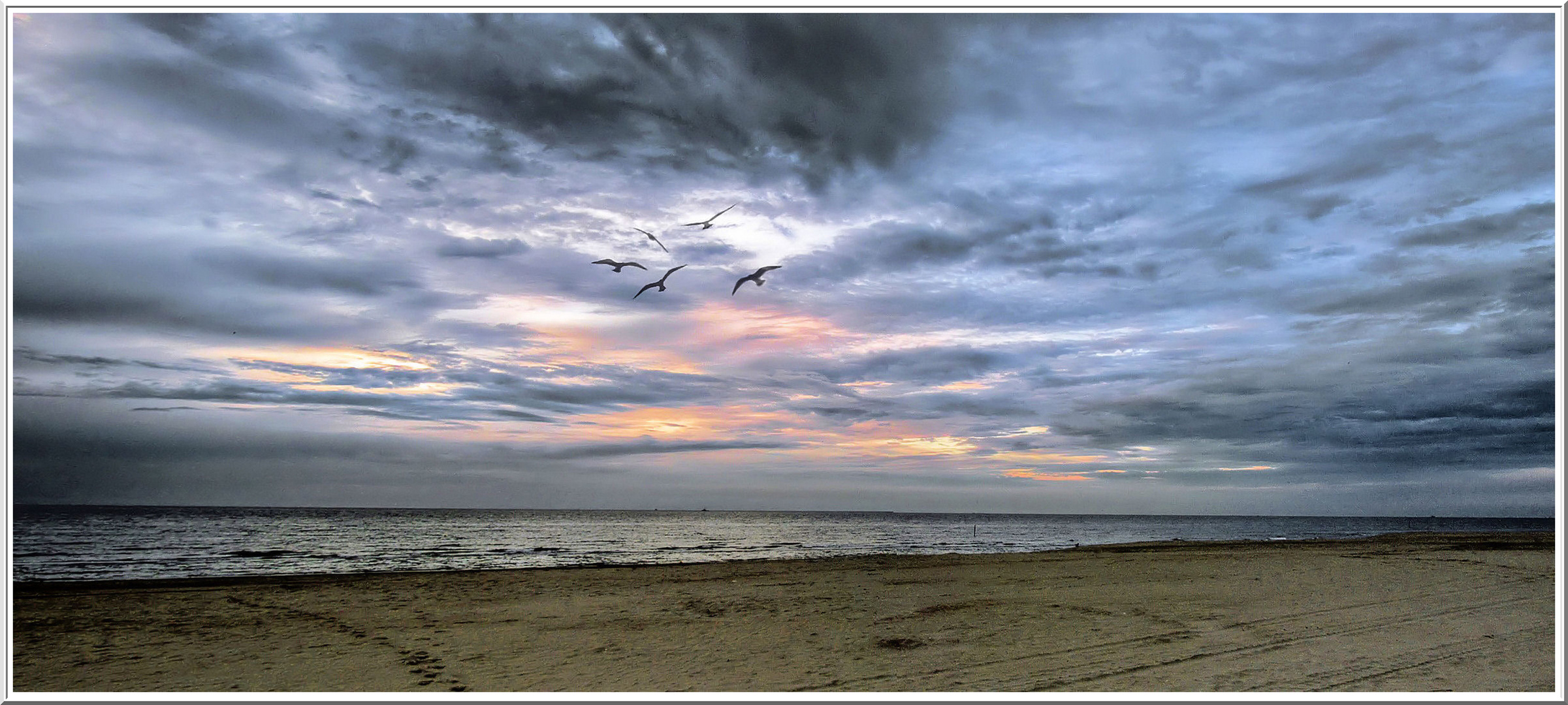 LES OISEAUX