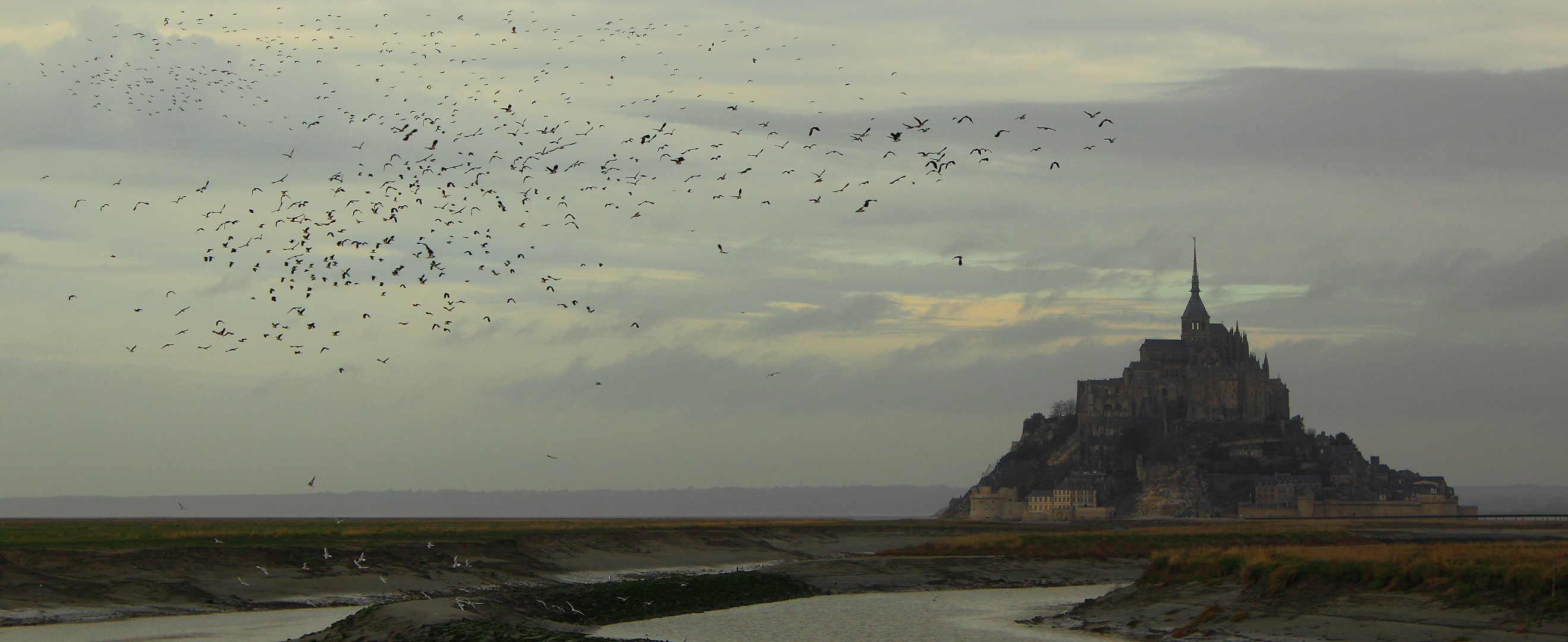 LES OISEAUX DU MONT