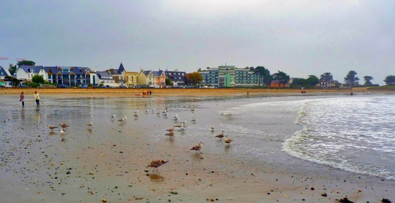 Les oiseaux ont droit à la plage