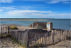 Les ombres des ganivelles