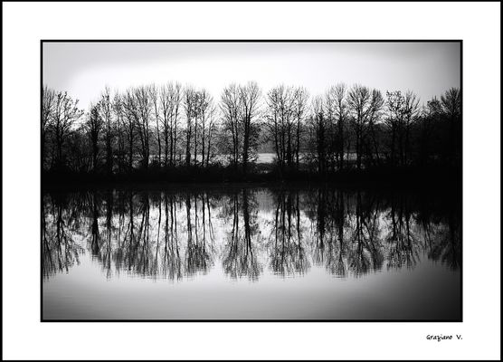 Les ombres du lac  (Ce merveilleux titre est de ma douce Lorel ;-))