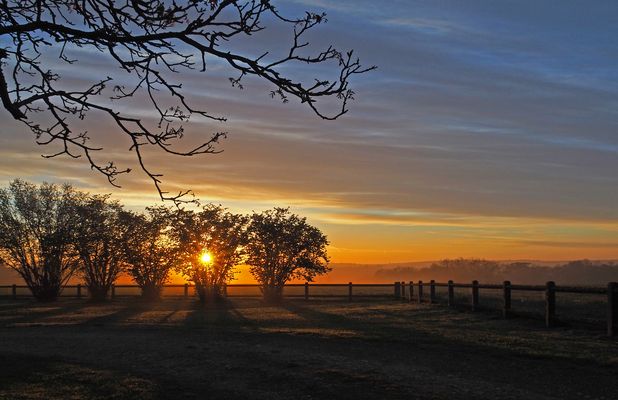 Les ombres du soleil levant