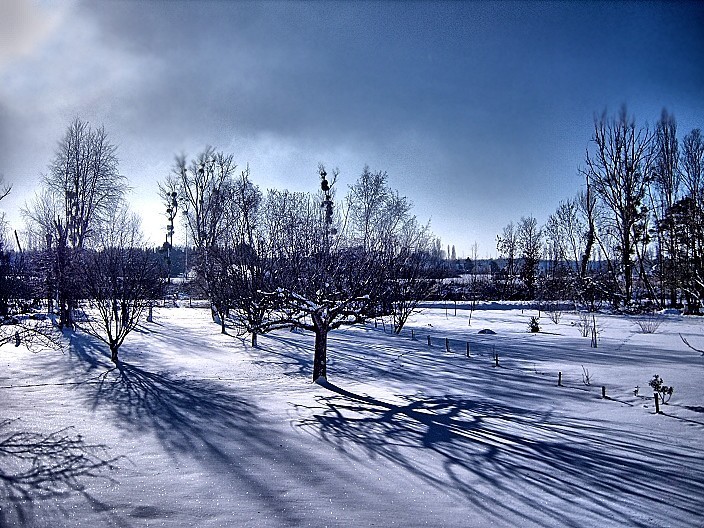 Les Ombres sur la Neige